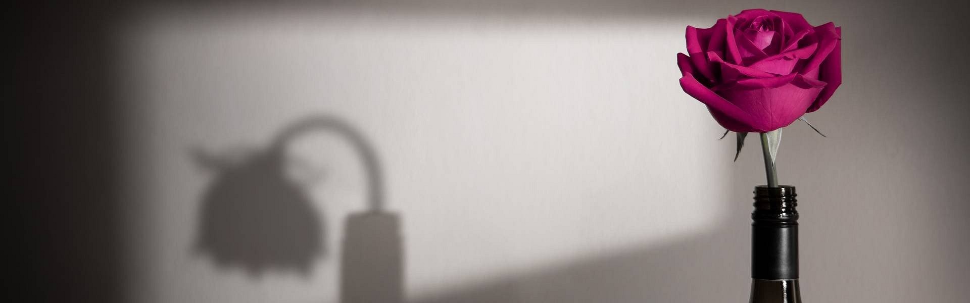 Nem kell egyedül végigmenni az úton